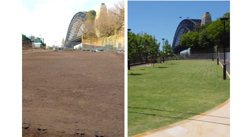 high traffic grass area stabilised with turfpave