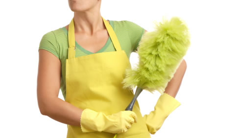 cleaning gloves duster