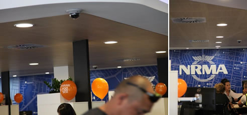 decorply perforated acoustic ceiling panels