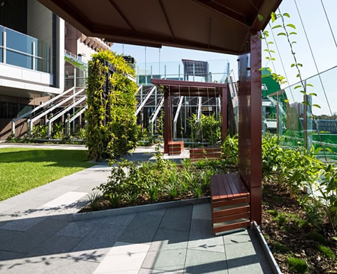 densely planted greenroof