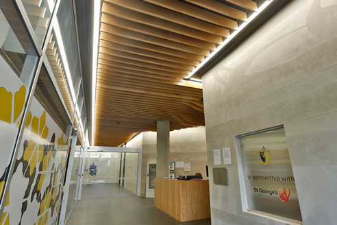 fire retardant timber ceiling