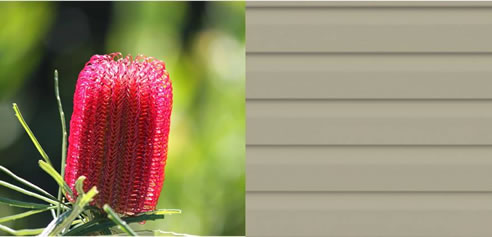 banksia green vinyl cladding