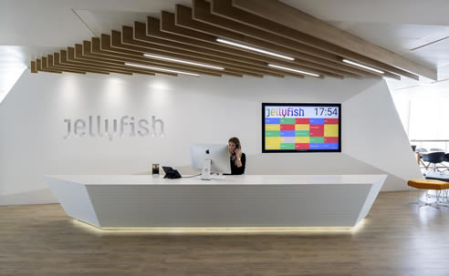 Lightweight Ceiling Beams Jellyfish Reception Area