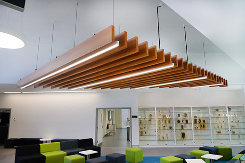light-weight timber alternative ceiling beams