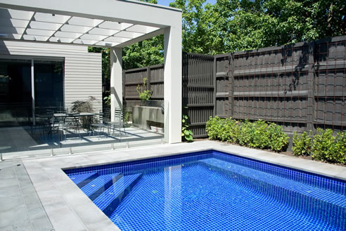 bluestone pool surround