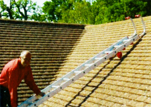Roof ladders from Little Jumbo Ladders