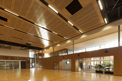 Acoustic Ceiling School Hall