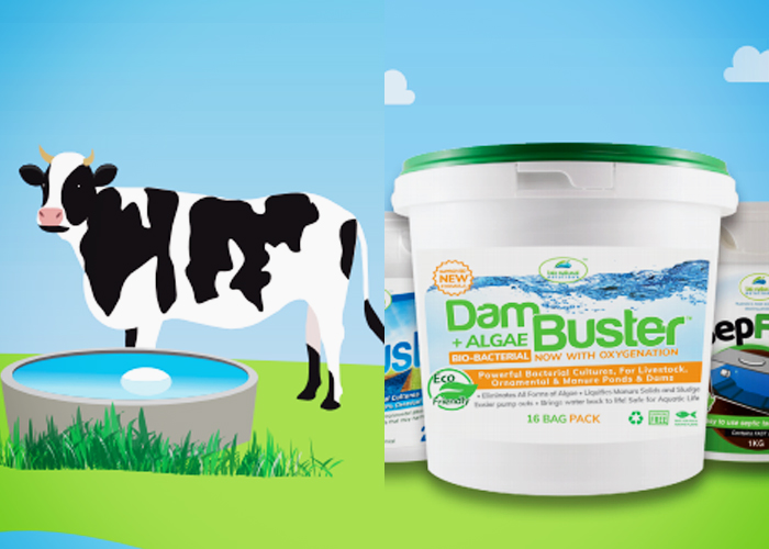 Clean Water Sources with Dam Buster by Bio Natural Solutions