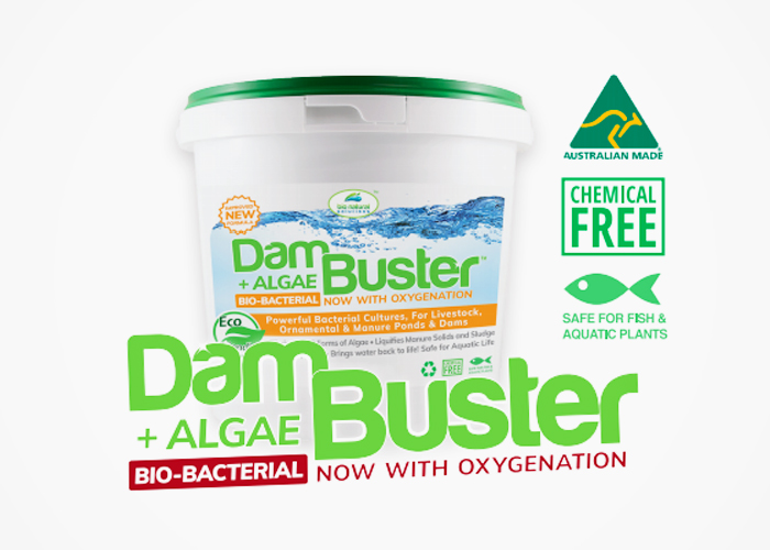 Natural Water Cleaning with Dam Buster by Bio Natural Solutions