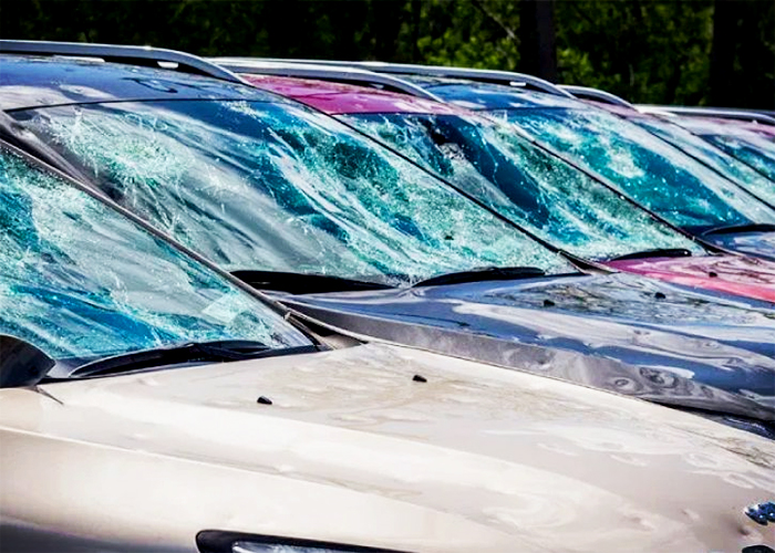 Hail Net Protection Canopies for Manheim by MakMax