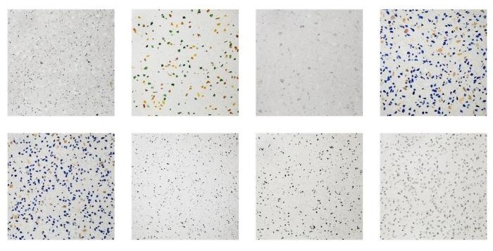Prefinished Terrazzo Panels from Access Floors.