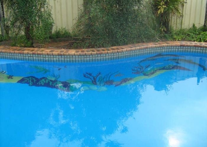 Aquatic Design Pool Murals with Hitchins Technologies