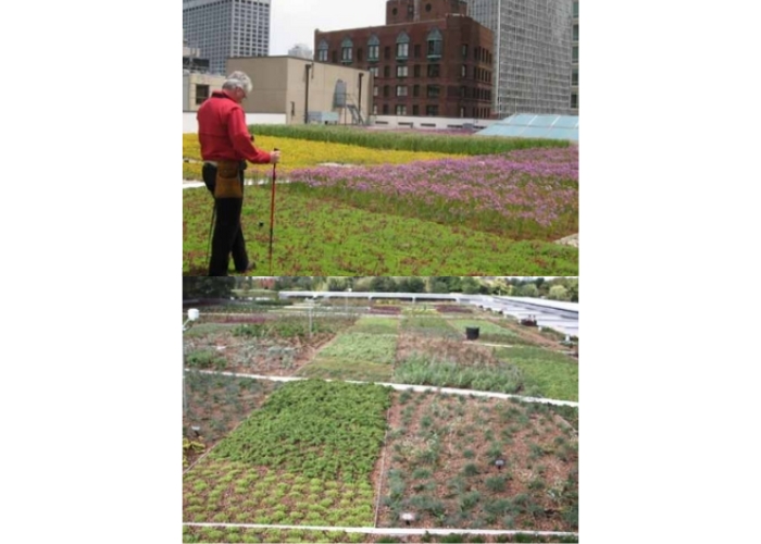 Are Green Roofs Waterproof by ILD Australia