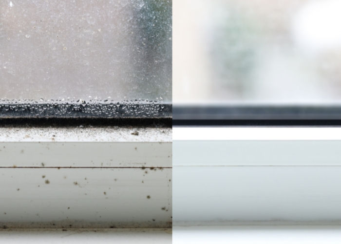 How to Expertly Eliminate Noise and Mould from Your Home
