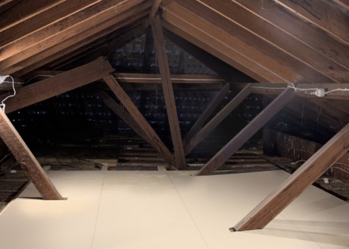 Attic Storage with Ladder Sale by Attic Ladders