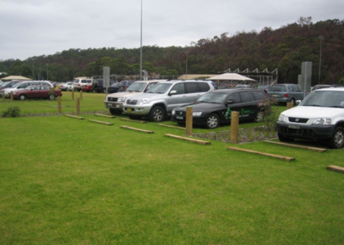 Lightweight Plastic Grass Paver for Grassed Areas by Elmich