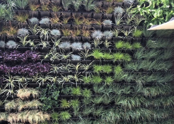 Green Wall System for Homes by KHD