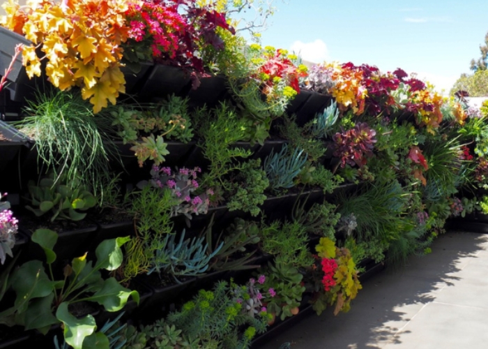 Green Wall System for Homes by KHD