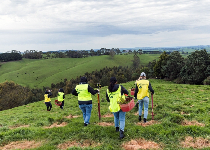 Schweigen Seeds Climate Hope with Greenfleet