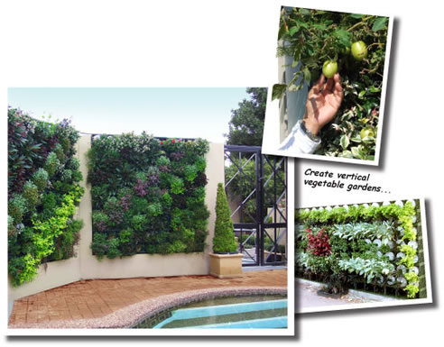 vertical garden