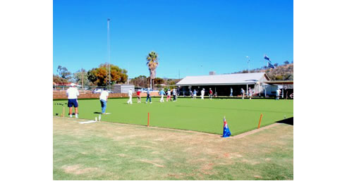 synthetic bowls green