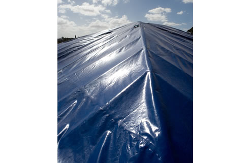 tarp