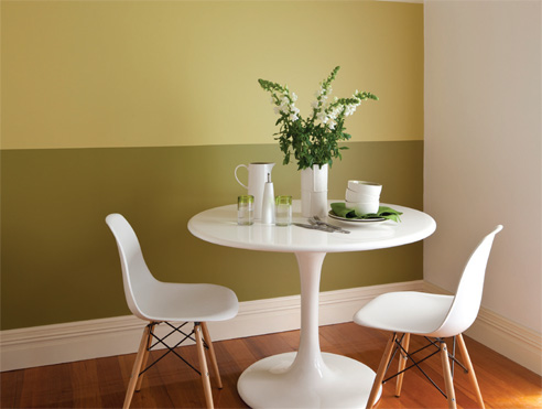 revive coloured wall