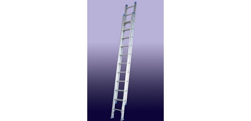 extendable ladder