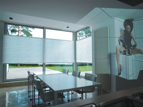 xl50pleat blind
