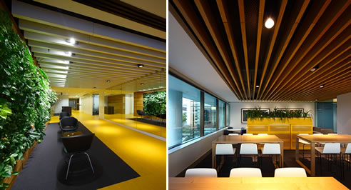 decorative ceiling beams