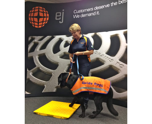 guide dog on tactile plate