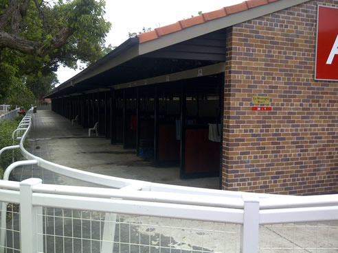 horse stable flooring