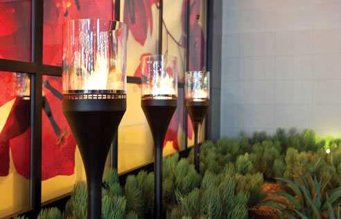 ecosmart flare outdoor fire