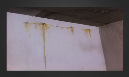 concrete wall water leak
