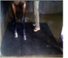 wash bay matting