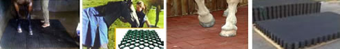 horse flooring