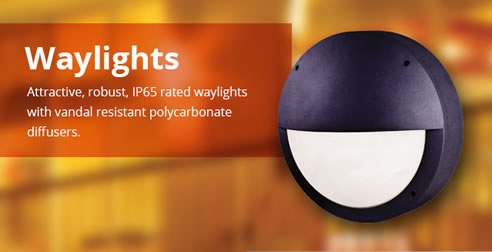 led waylight