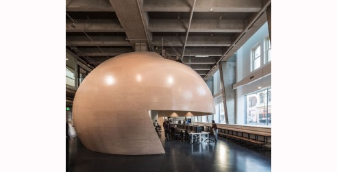 timber dome structure