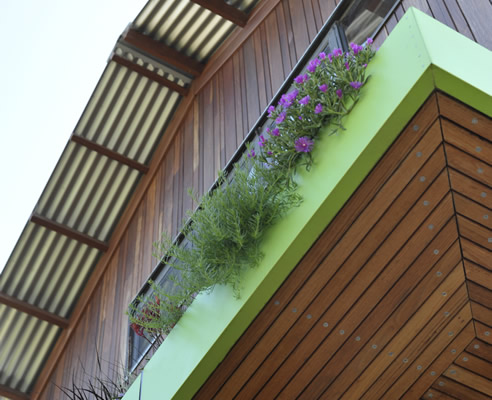 green eave watered through runoff from the roof