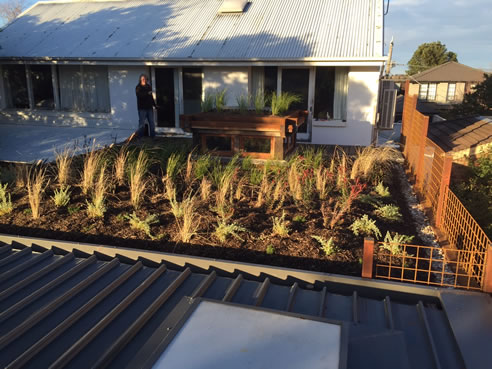 Green Roof for Mud Brick House