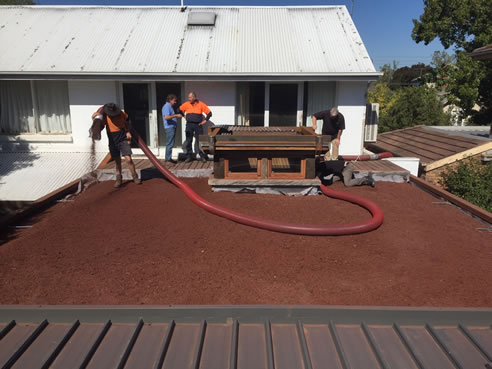 Green Roof renovation project