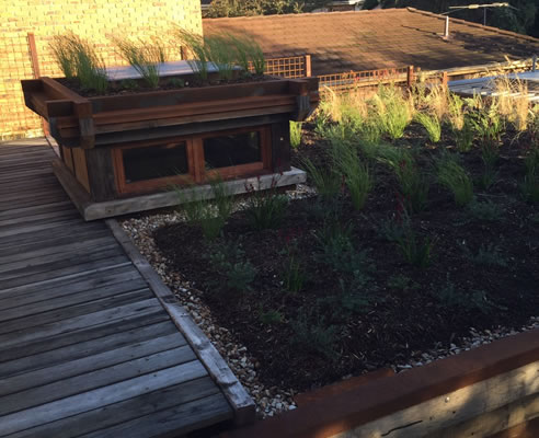 mud brick house Green Roof