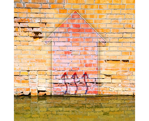 Rising Damp