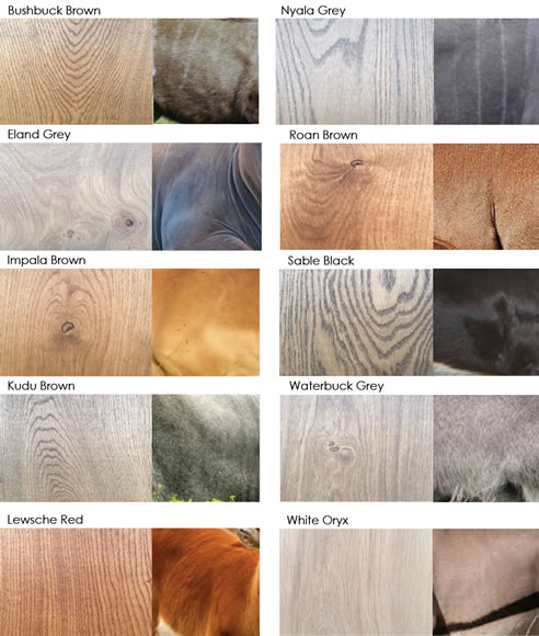 Evolution Timber Oil Colours