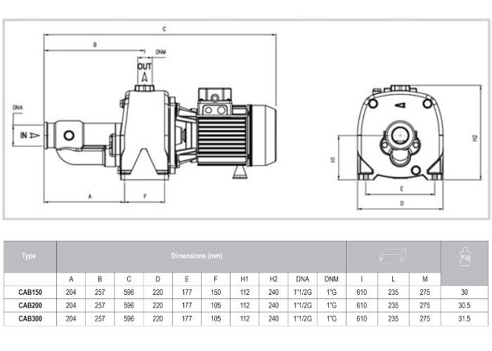 Electric Motor Shallow Well Pump from Maxijet Australia