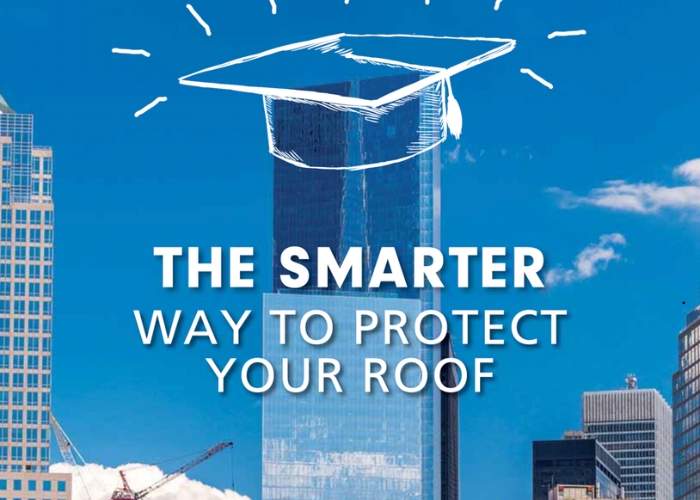 Intelligent Roof Monitoring for Leak Prevention by ILD
