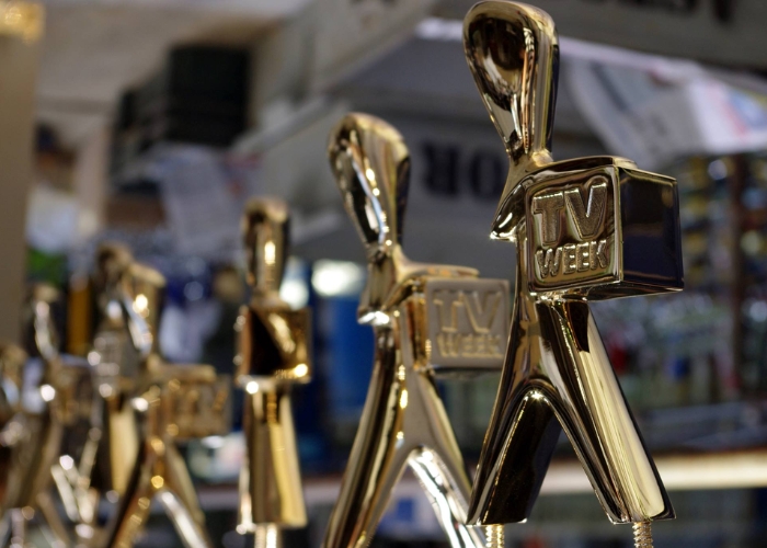 Gold Plated Awards for Events by Astor Metal Finishes