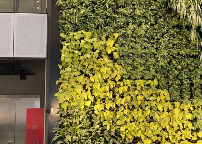 Green Wall System for Vertical Gardens by Atlantis