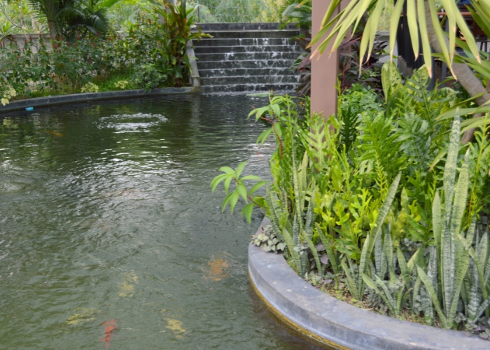Filtration System for Water Gardens by Waterco