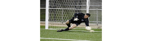 soccer turf
